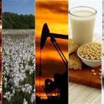 Grafik harga komoditi