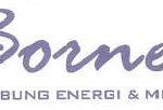 Logo-BORN-Borneo-Lumbung-Energi-Metal