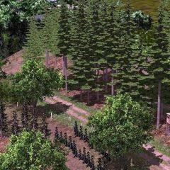 sub-sektor-kehutanan-bei