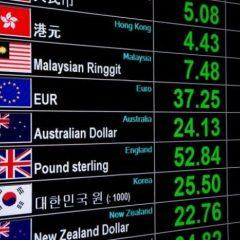 Daftar Broker Forex Indonesia
